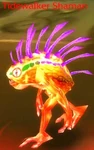 Tidewalker Shaman