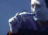 BAku fish.jpg