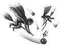C11-quidditch.jpg