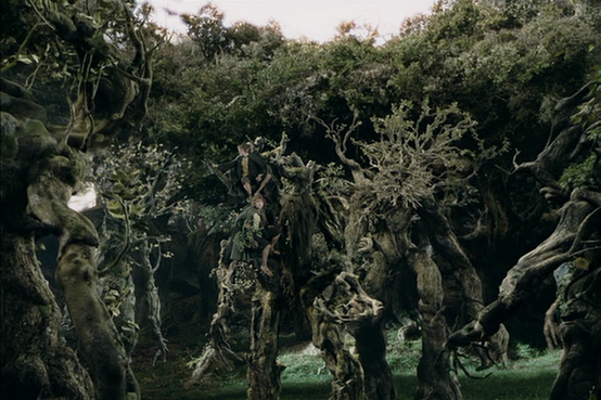 554px-Many_ents.png