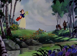 Forest glade