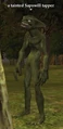 Tainted Sapswill tapper.jpg