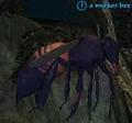 Worker bee.jpg