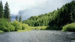 Fluviul Verde.jpg