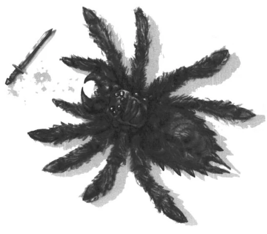 File:Banespider.JPG