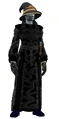 Barrister's Robe (Visible).jpg
