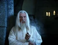 Mckellenthewhite.jpg