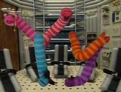 Wormsinspace.Y