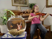 Ewviolins-kid.jpg