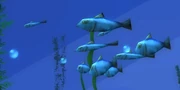 Fish.png