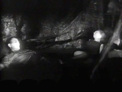 Mst406b
