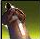Spell Icon