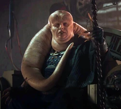 Bib Fortuna1.jpg