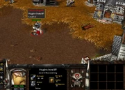 Randommountainking
