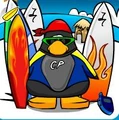 Surfboarder 2