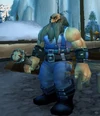 Stormpikequartermaster
