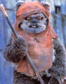 Wicket headshot.jpg