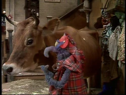 Cow&gonzo