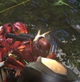 Unknown elite 1.jpg (42 KB)