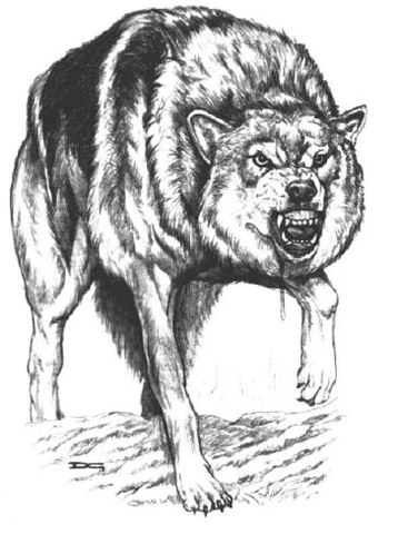 File:Timberwolf.JPG