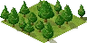 Forest.png