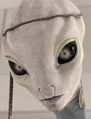 Taun We2.jpg