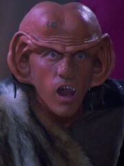 Letek