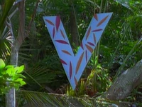Jungle.V.jpg