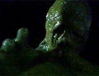 Slime.jpg