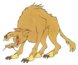 Sungwa swenc.jpg