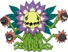 Blossomon t