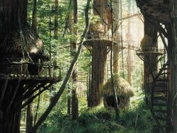 Ewok Village1