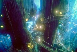 Ewok Village