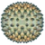 UncannyLogo.png