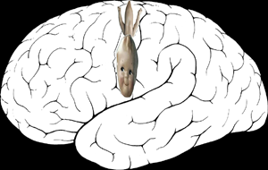 Homunculus motor