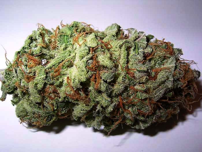 Sativa Bud