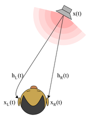 Hrtf diagram