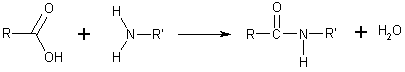 Amide react