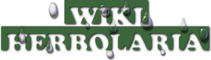 TitleWiki