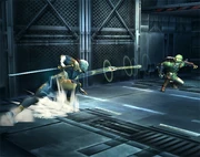 Gray Fox3