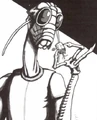 Garginoolaara.jpg