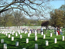 Arlington