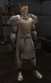 Captain Darill.jpg