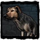 Bestiary Dog