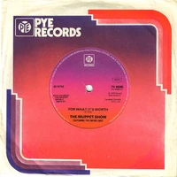 TMS PYE 7N46085