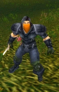 SyndThief