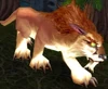 Amani Elder Lynx