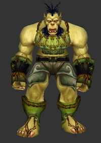 Dragonmaw Raider