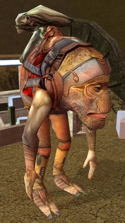 Mic'tunan'jus Orgu.jpg