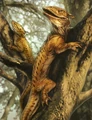 YsalamiriEGttF.jpg